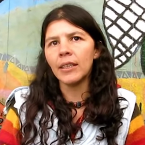 Nicolasa Diaz Ortiz